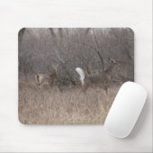 コットンウッドの木のD2によって白後につかれるシカ マウスパッド (マウス)