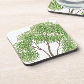 コットンウッドツリー コースター (左側)