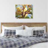コットンウッドツリー |ユタ州キャピトルリーフ国立公園 キャンバスプリント (インサイチュ (寝室))