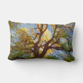 コットンウッドツリー |ユタ州キャピトルリーフ国立公園 ランバークッション (裏面)