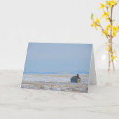 コットンウッド教会ハバー、モンタナ カード (黄色い花)