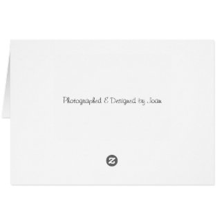 コットンウッド