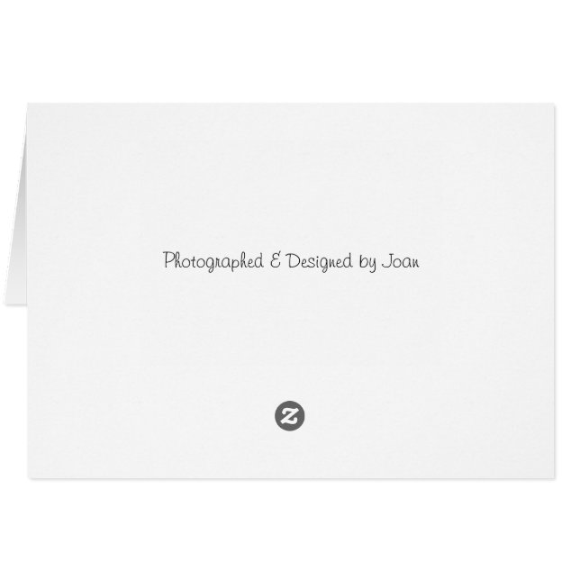 コットンウッド (裏面横)