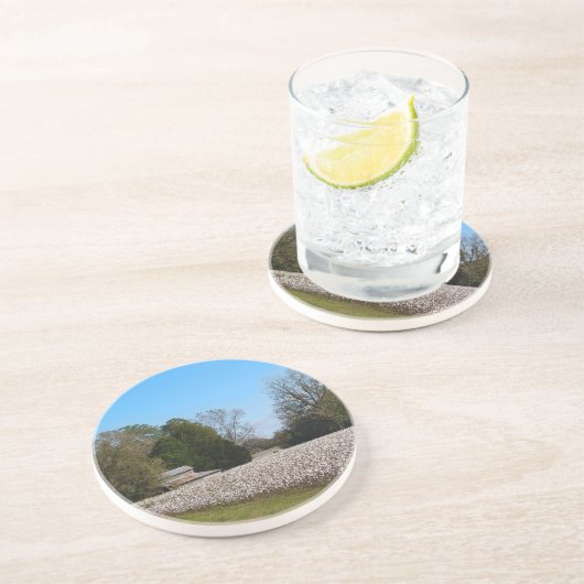 コットンシリーズ – コットンフィールドコースターの後ろの納屋 コースター (側面)