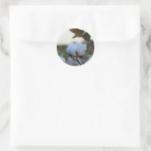 コットンシール ラウンドシール (バッグ)