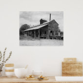 コットンジン ポスター (キッチン)