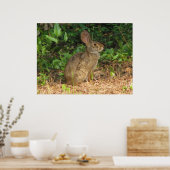 コットンテールフリーズポスター ポスター (キッチン)