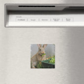 コットンテールラビットマグネット マグネット (インサイチュ (食洗機))