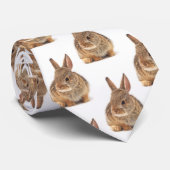 コットンテールラビット ネクタイ (ロール)