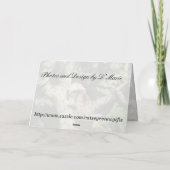 コットントップタマリングリーティングカード カード (裏面)