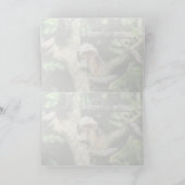 コットントップタマリングリーティングカード カード (内部)