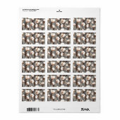 コットンプラントパターングレー ラベル (フルシート)