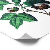 コットンボタニカルプリント ポスター (角)