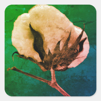 コットンボールのシール スクエアシール