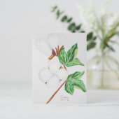 コットンボール植物はがき白 ポストカード (スタンド正面)