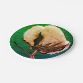 コットンボール ペーパープレート (アングル)