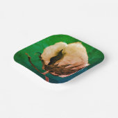 コットンボール ペーパープレート (傾斜あり)