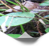 コットンマウスウォーターモカシンコイル ポスター (角)