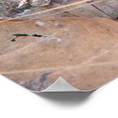 コットンマウスモカシンポスター ポスター (角)