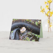 コットンマウス/ウォーターモッカシングリーティングカード カード (黄色い花)