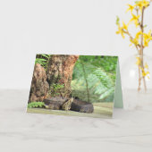 コットンマウス/水モカシンスネークグリーティングカード カード (黄色い花)