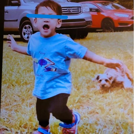 コットンラブトドラー ベビーTシャツ