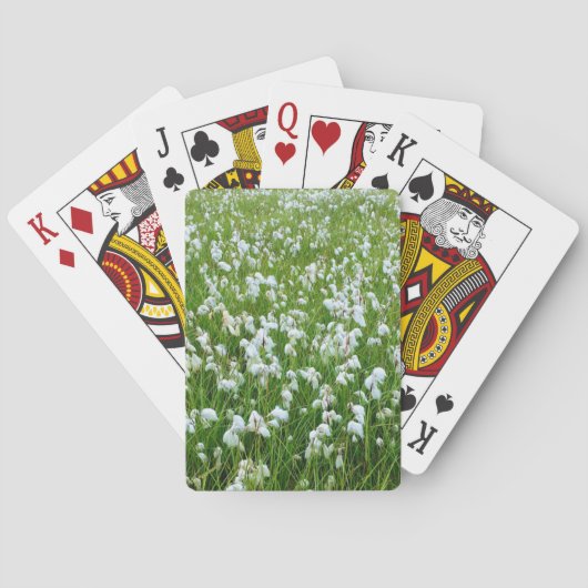 コットン遊グラスのカード トランプ (裏面)