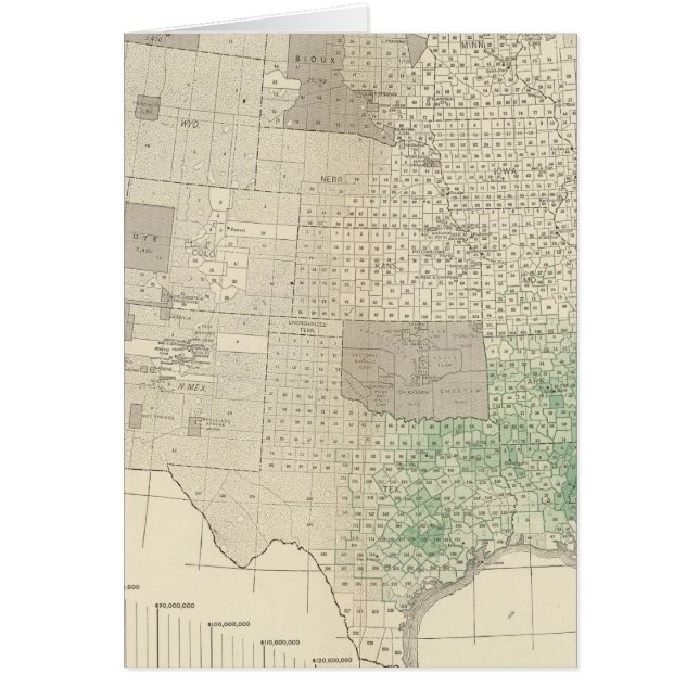 コットン (正面)