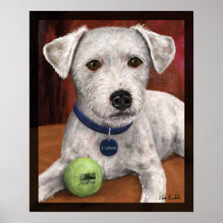 コットン ポスター