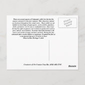 コット凍っていンテールウサギ ポストカード (裏面)