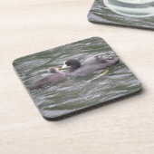 コット食べ物を与えの空腹のコークのコースター コースター (左側)