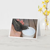 コップから水を飲むスウィフトな鳥 カード (黄色い花)