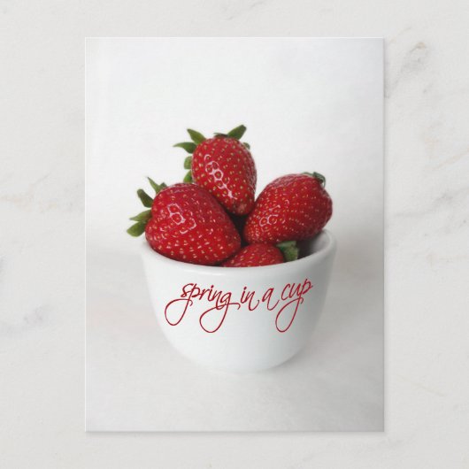 コップの春 ポストカード (正面)