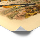 コッペナーズフライキャッチャー鳥ヴィンテージプリント ポスター (角)