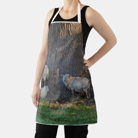 コツウォルド羊 エプロン (インサイチュ)
