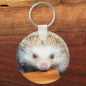 コティ・ハリネズミ キーホルダー (正面)