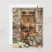 コテージのドアに注意！野性のアイボリーハウス猫 ポストカード (正面/裏面)