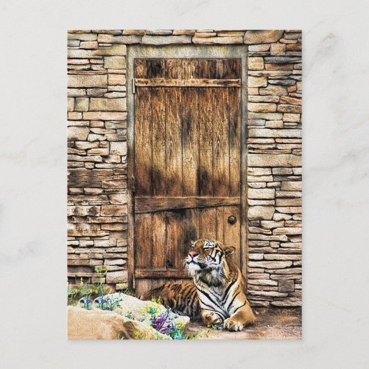 コテージのドアに注意！野性のアイボリーハウス猫 ポストカード (正面)