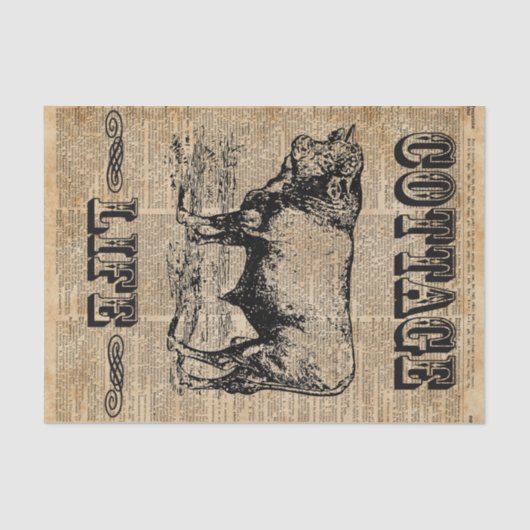 コテージの生命ヴィンテージの田舎辞書の芸術 薄葉紙 (正面)