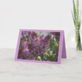 コテージのCHINTZ カード (正面)