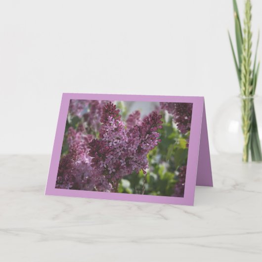 コテージのCHINTZ カード (正面)