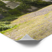 コテージは金ゴールドヒル、シャフテスベリー、ドーセット。 ポスター (角)