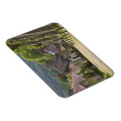 コテージは金ゴールドヒル、シャフテスベリー、ドーセット。 マグネット (右側)