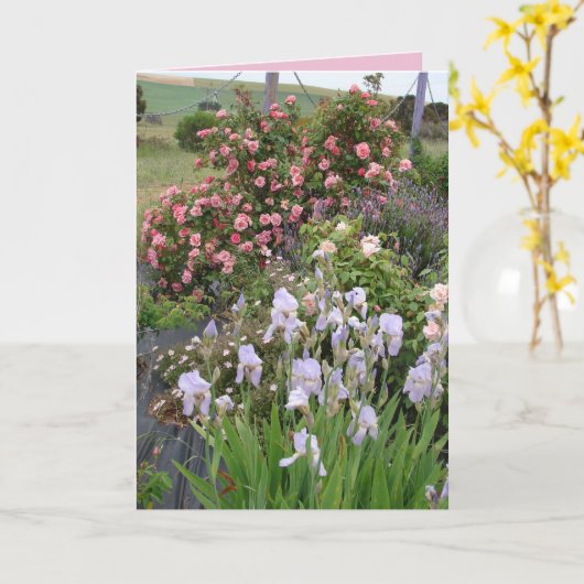 コテージガーデンのアイリス ローズ ビューティー フラワーのカード カード (黄色い花)