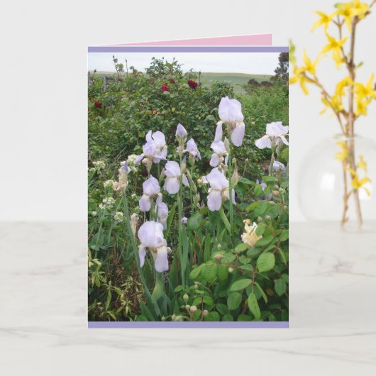 コテージガーデンの紫色のアイリス 花のカード カード (黄色い花)