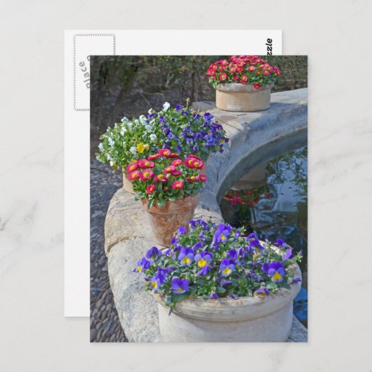 コテージガーデンフラワー ポストカード (正面/裏面)