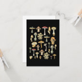 コテージコアエステティックキノコ カード (正面/裏面インサイチュ)