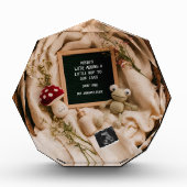 コテージコアカエル&キノコ妊娠の発表 フォトブロック (正面)