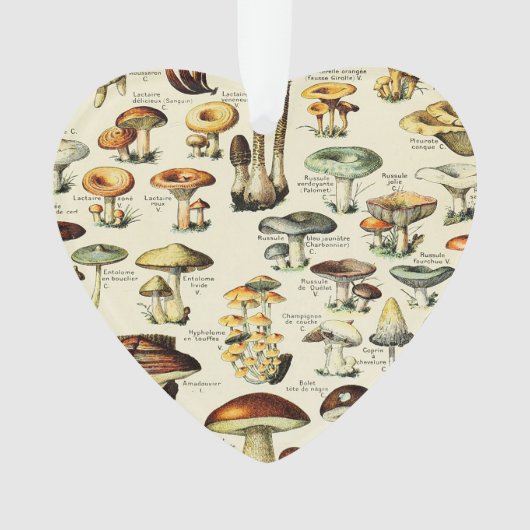 コテージコアマッシュルームヴィンテージ自然主義者 オーナメント (正面)