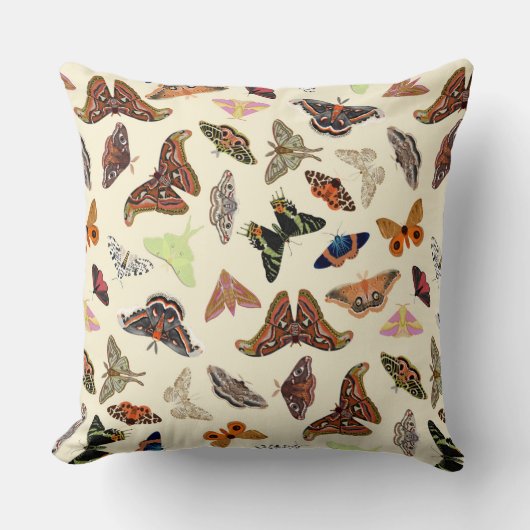 コテージコアモス クッション (正面)